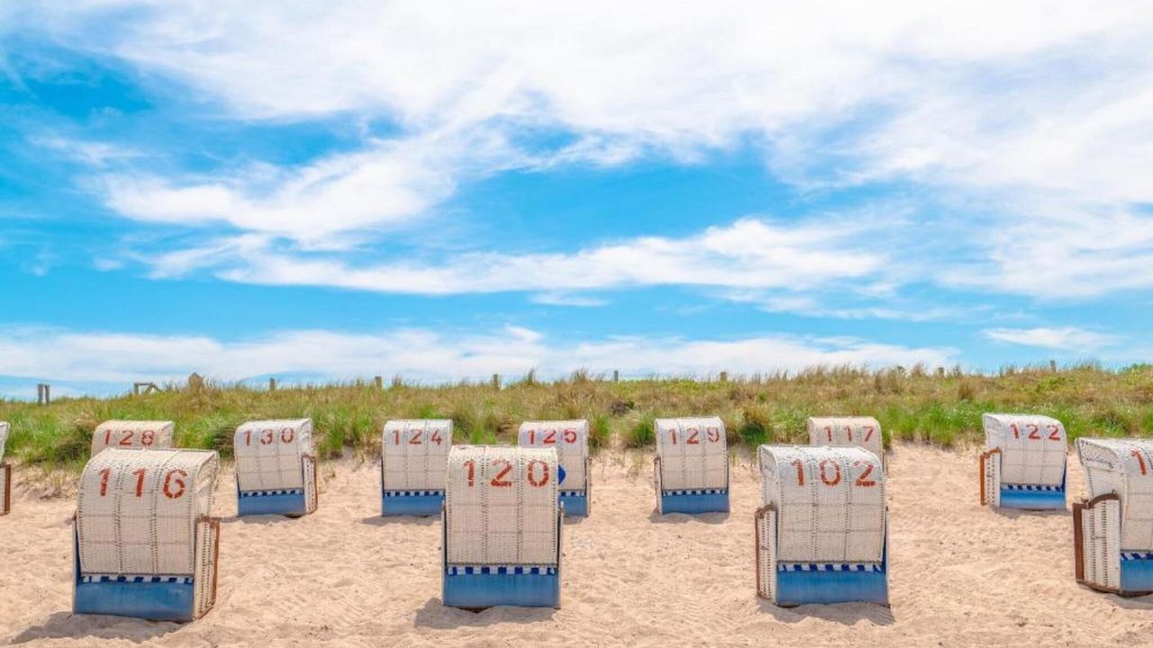 AreaSummer20KM AreaSummer20KM